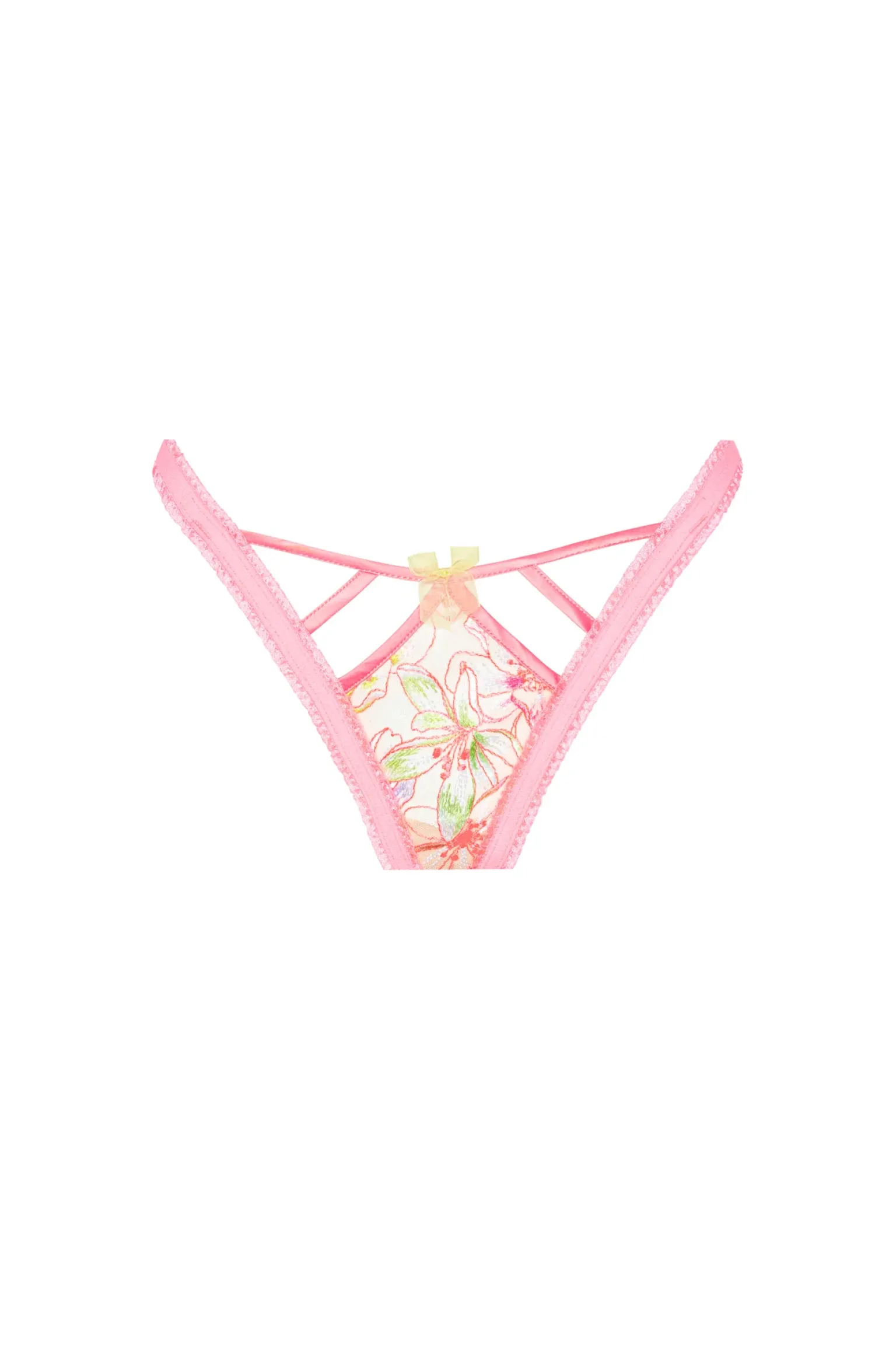 electric_fields_embroider_6-1.webp Hot For Love & Lemons Electric Fields Embroidery Thong Panty Pink